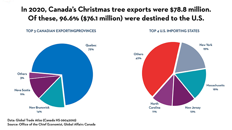 In 2020, Canada's Christmas tree exports were $78.8 million. Of these, 96.6% ($76.1 million) were destined to the U.S.